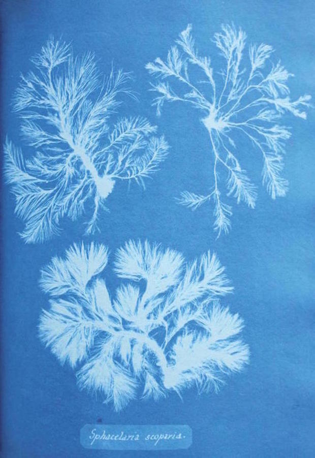 Image - Bloom_Text_18.10__dragged__page_001_1.jpg