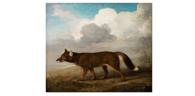 Image - Stubbs_copy_1.jpg